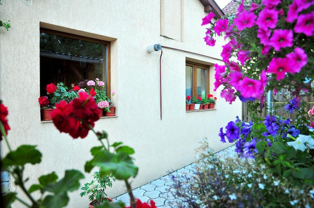 Casa Maria Hotel Gura Humorului Exterior photo